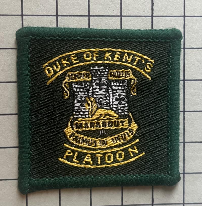 c1982-2007 Duke of Kent's Platoon Devon & Dorset Regimental Cloth Arm Unit Designation Badge