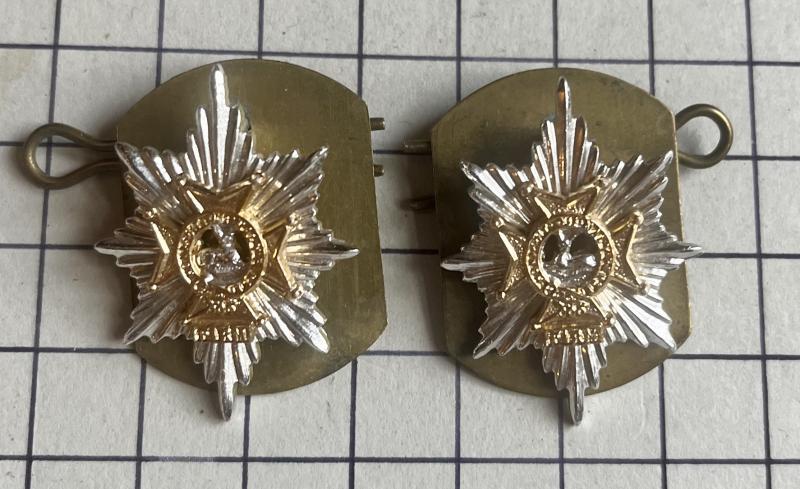 Pair of Worcestershire & Sherwood Foresters Regiment Anodised Aluminium Collar Badges