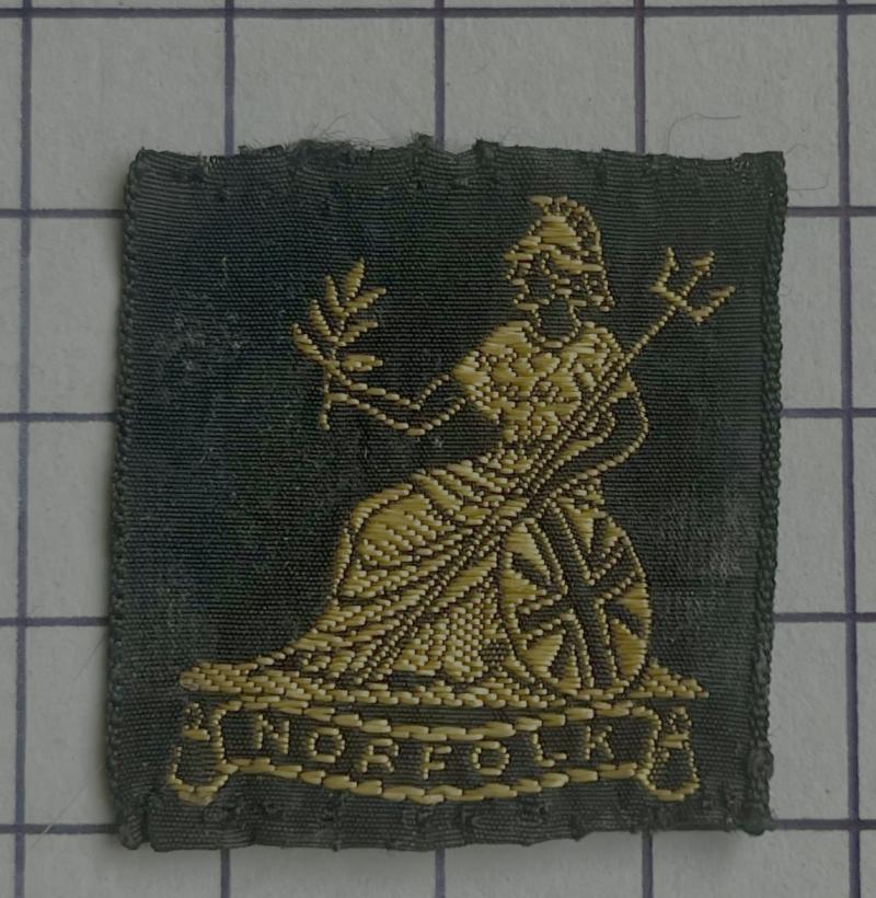 Norfolk District Ribbon Girl Guide Patch Badge