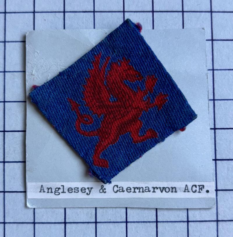 Welsh Denbigh & Flint Army Cadet Force (ACF) Printed Cloth Formation Badge