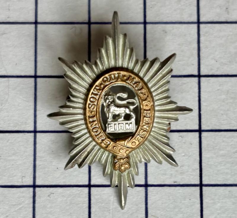 Worcestershire Regiment Bi-Metal Collar Badge