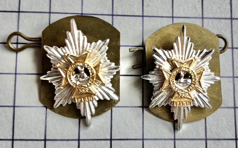 Worcestershire & Sherwood Foresters Regiment Staybrite Anodised Aluminium Collar Badges