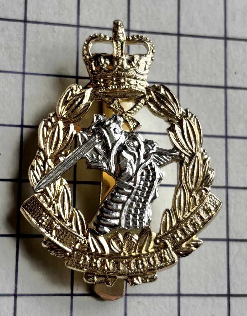 Royal Army Dental Corps (RADC) Anodised Aluminium Cap Badge by Firmin