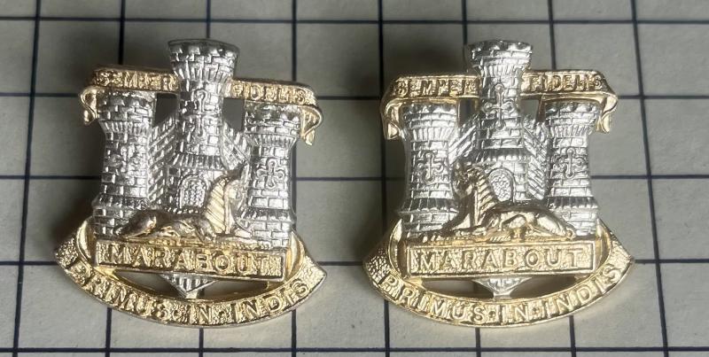 Devon & Dorset Regiment Anodised Collar Badges
