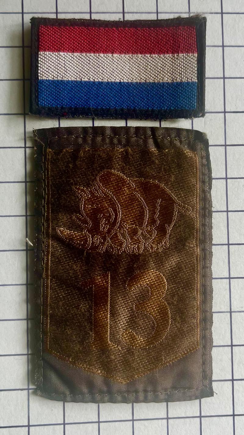 The Netherlands Dutch 13th Mechanised Brigade Combat Patch Badge