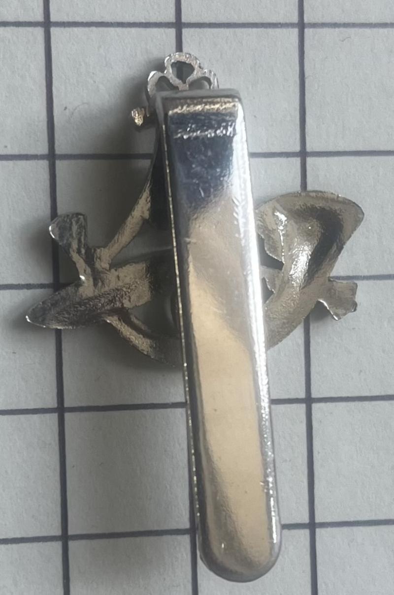 The 10th Princess Mary's Own Gurkha Rifles Chrome Beret Size Cap Badge