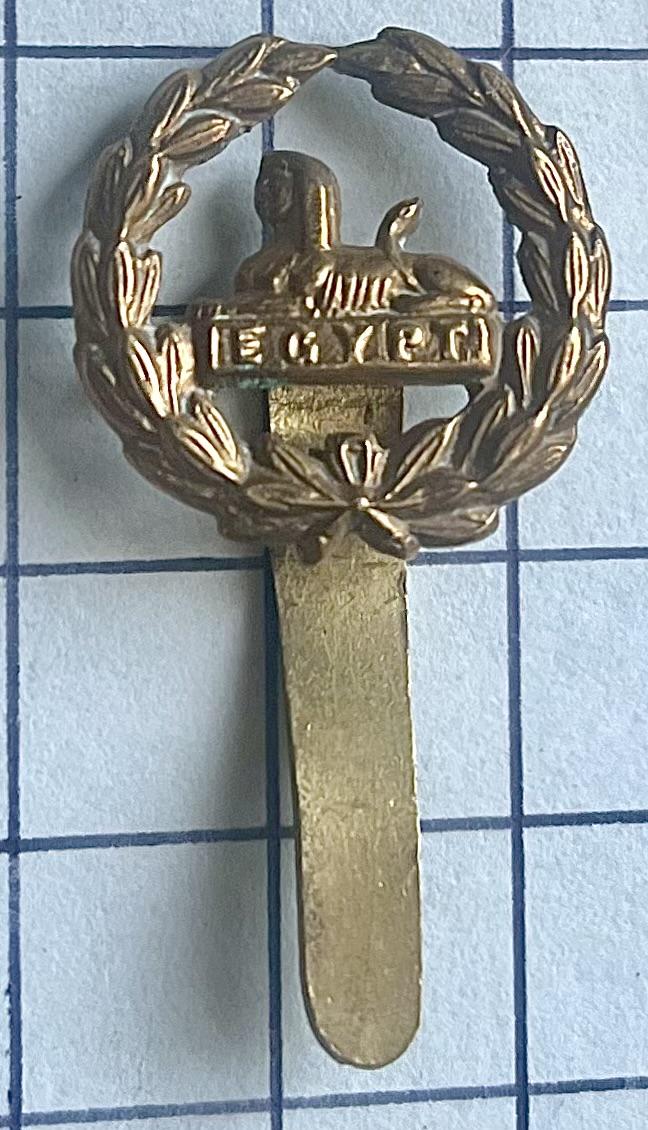 Gloucestershire Regiment Brass Back Cap Badge