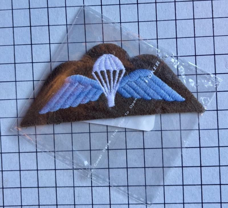 c2020s British Army Parachute Wings Qualification Badge Patch