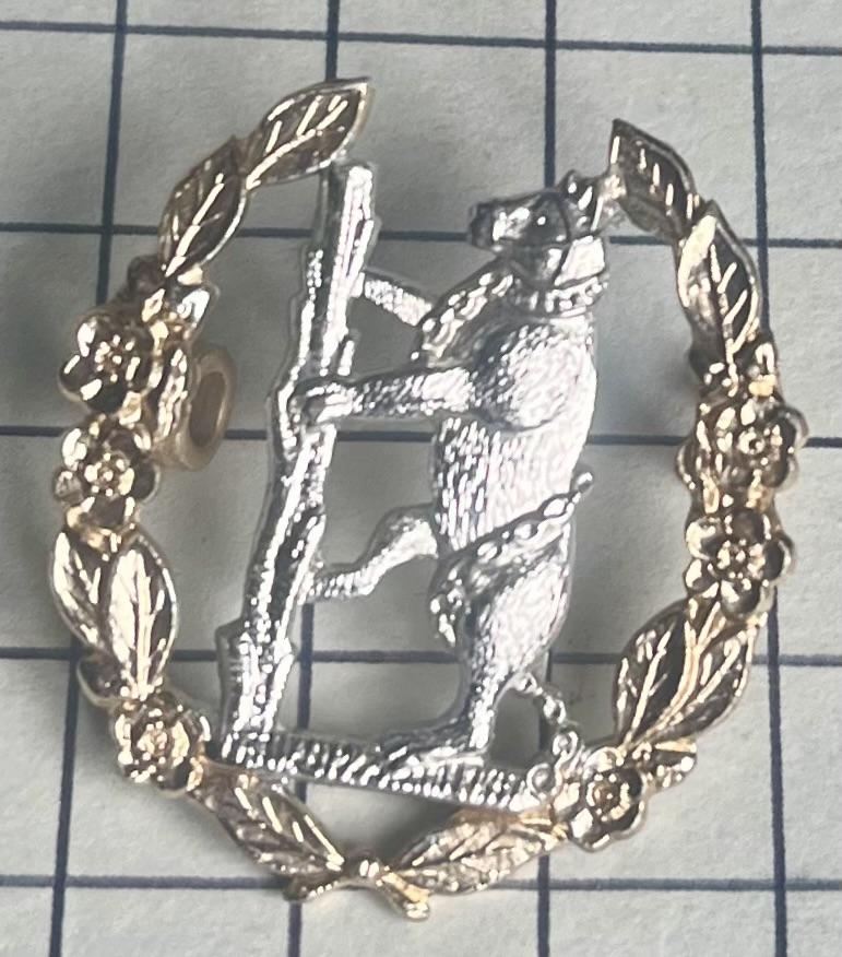 Queen's Own Warwickshire and Worcestershire Yeomanry Anodised Cap Badge