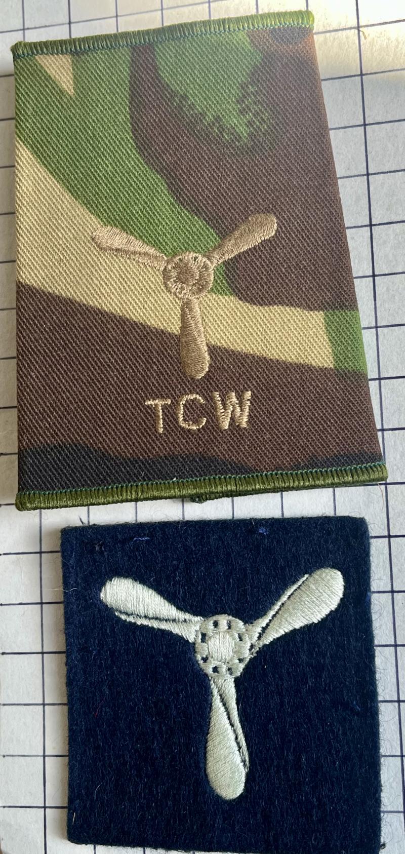 Pre-2013 Royal Air Force (RAF) Tactical Communications Wing (TCW) Shoulder Title Badge