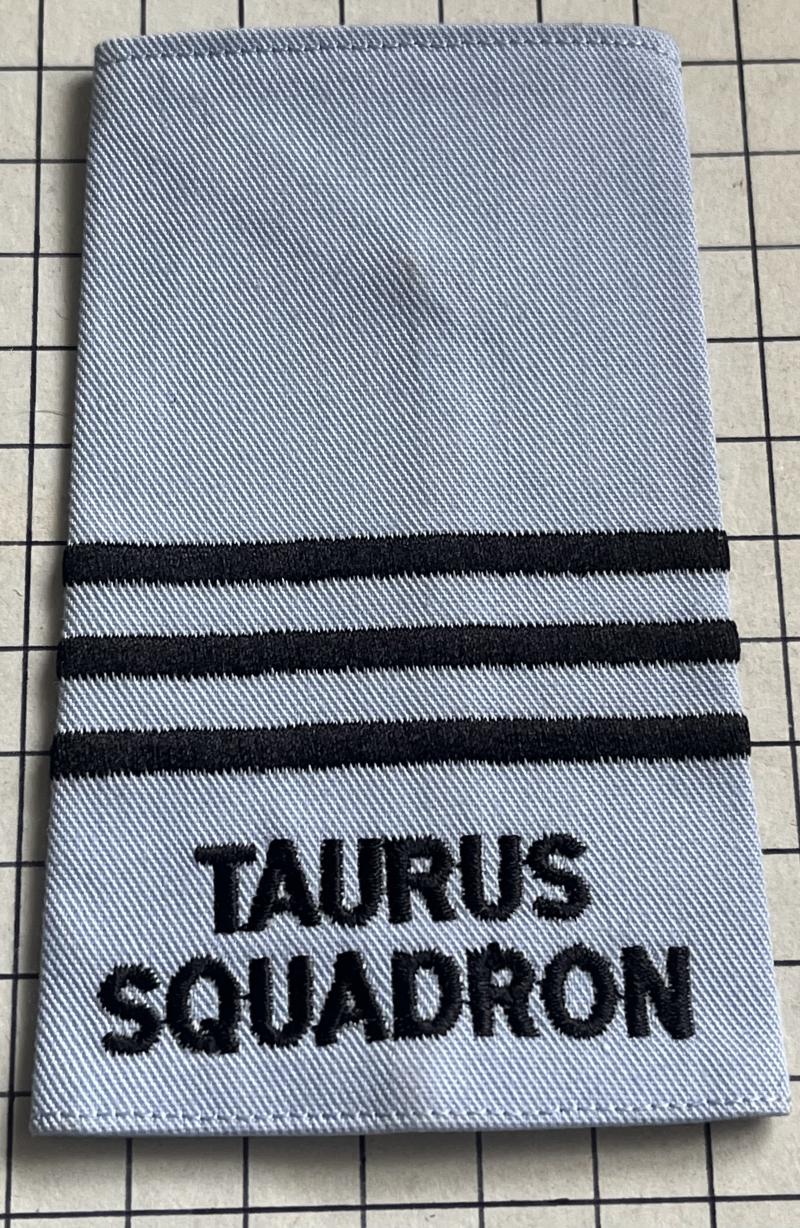 Officer Training Corps (OTC) RAF Taurus Squadron Slip-on Rank Slide Rank Shoulder Title
