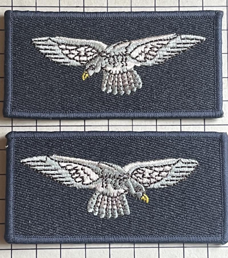 c2000s Royal Air Force (RAF) Other Ranks Arm Badges
