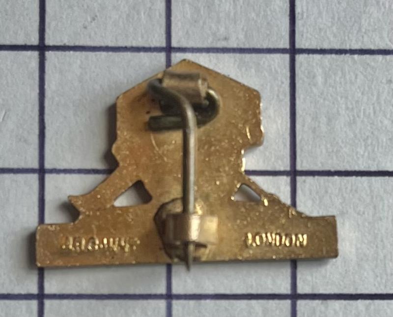 Royal Artillery Association (RAA) Ladies Section Gilt & Enamel Pin Brooch Badge