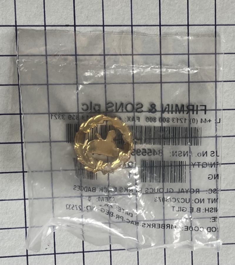 2004 Dtd Royal Gloucestershire Berkshire Wiltshire (RGBW) Regiment Last Pattern Back Cap Badge