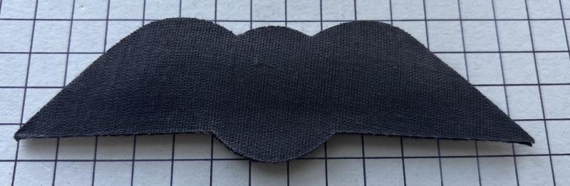 c2020s Royal Air Force (RAF) Air Cadet 'Silver' Pilot Wing