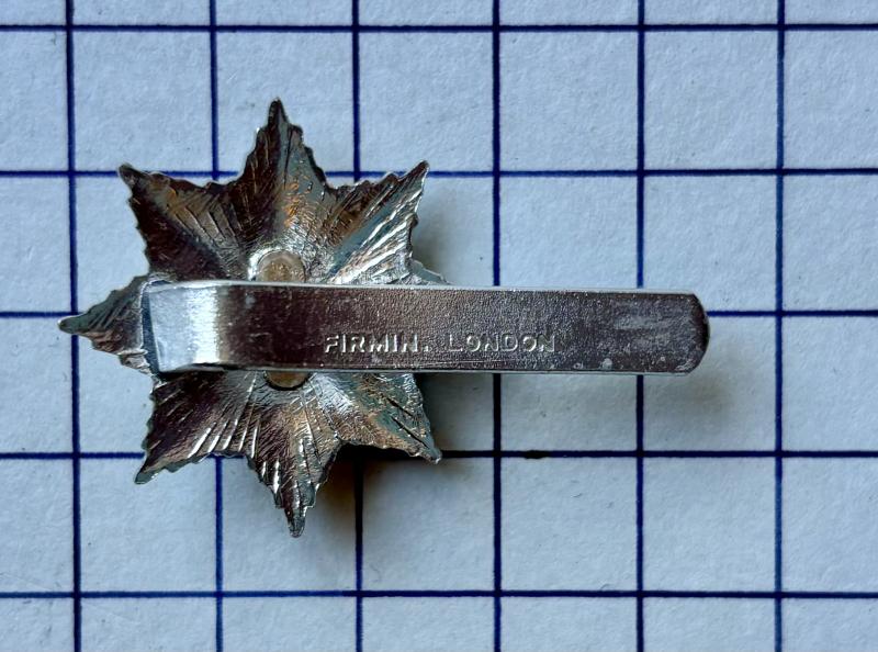 Royal Anglian Regiment Anodised Aluminium Firmin Cap Badge