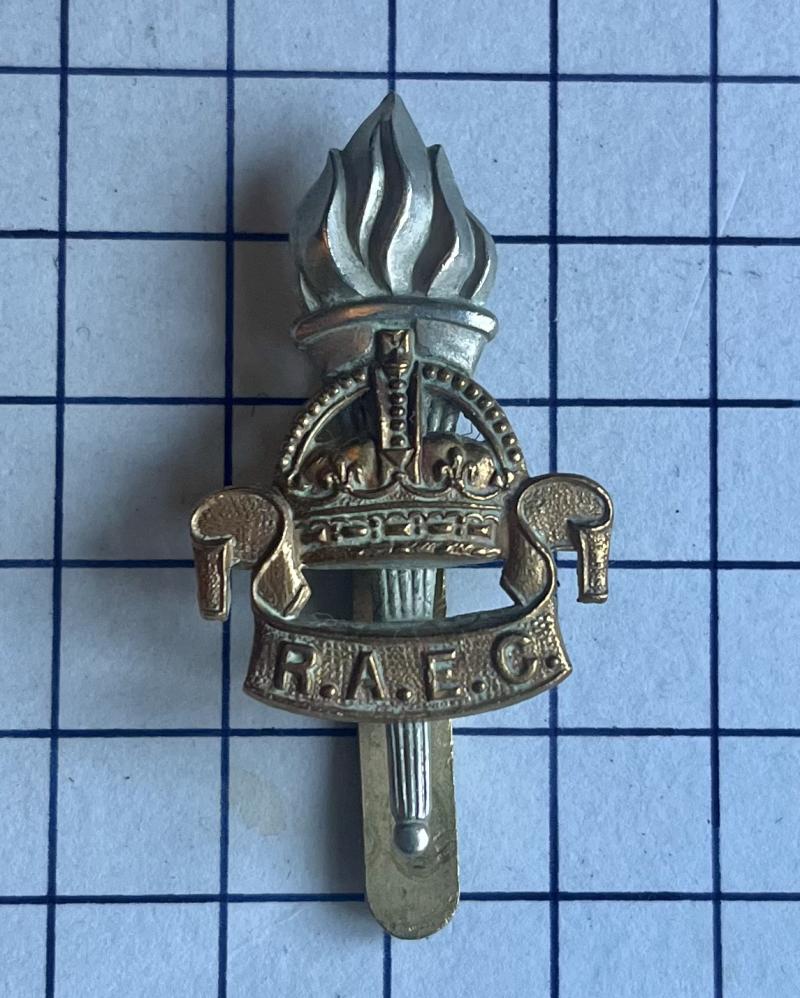 The Royal Army Education Corps (RAEC) King’s Crown Bi-Metal Other Ranks Cap Badge.